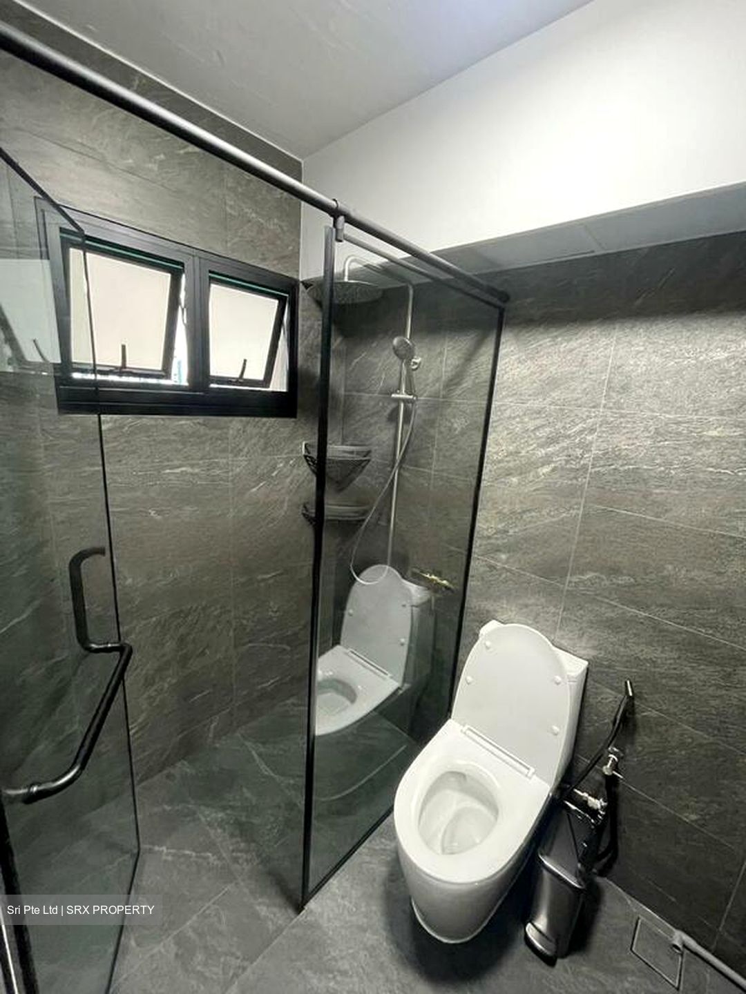 Blk 461 Choa Chu Kang Avenue 4 (Choa Chu Kang), HDB Executive #496715031